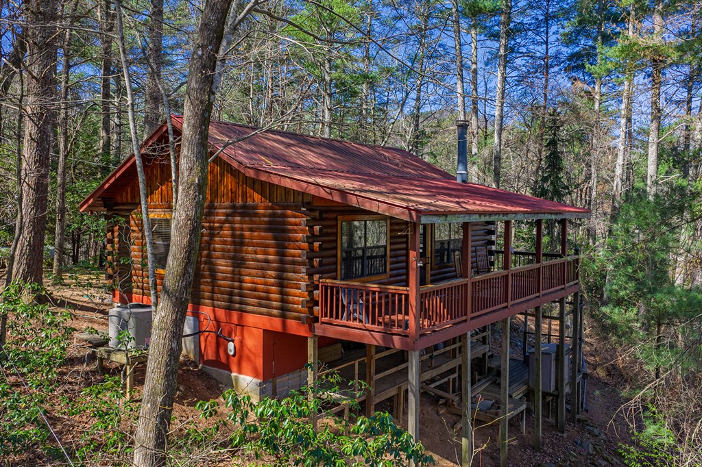 216 Pig Trail