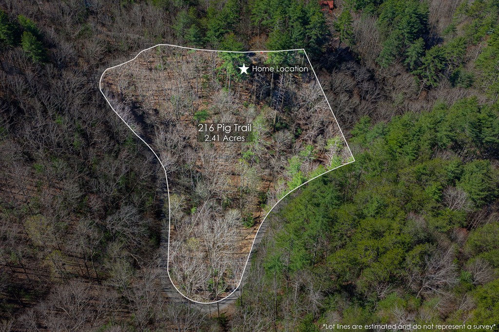 216 Pig Trail