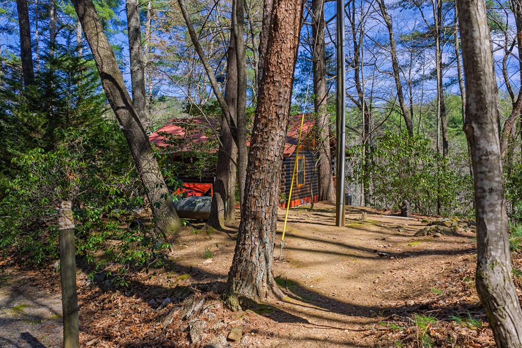 216 Pig Trail