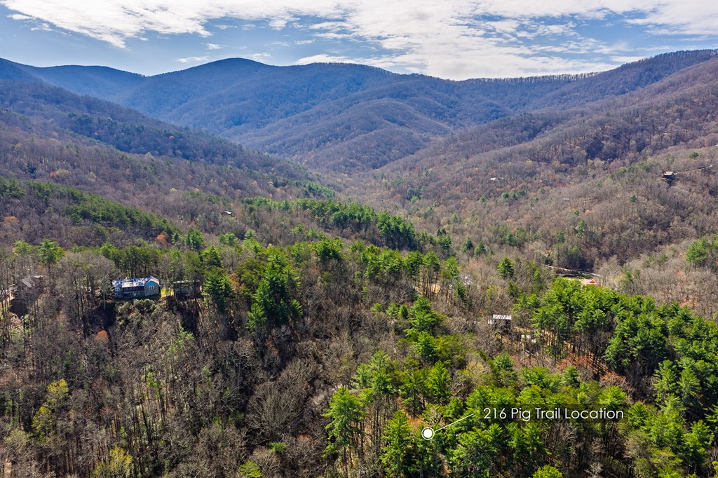 216 Pig Trail