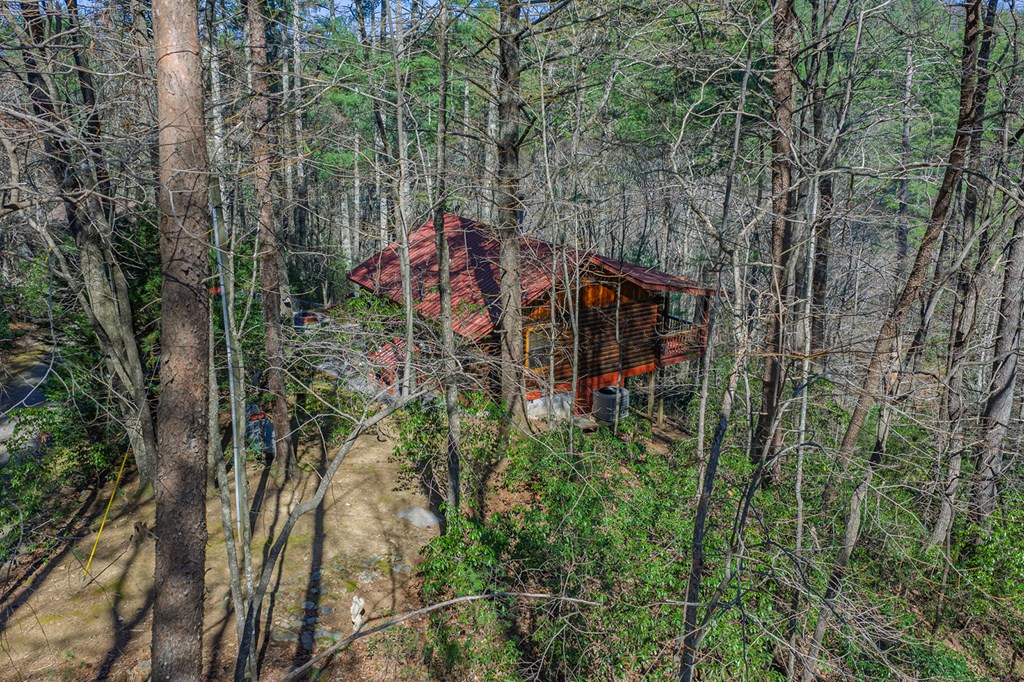 216 Pig Trail