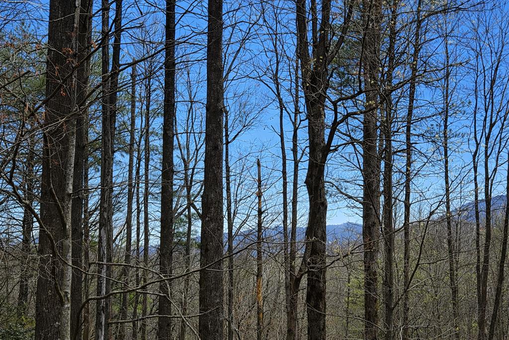 396 Dover Falls Trail