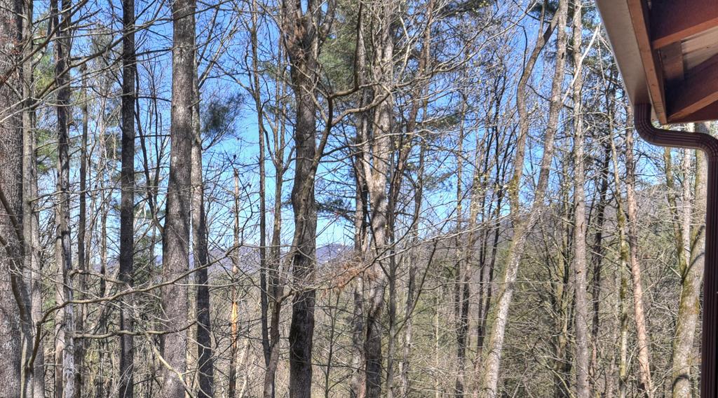 396 Dover Falls Trail