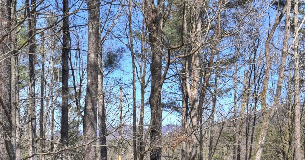 396 Dover Falls Trail