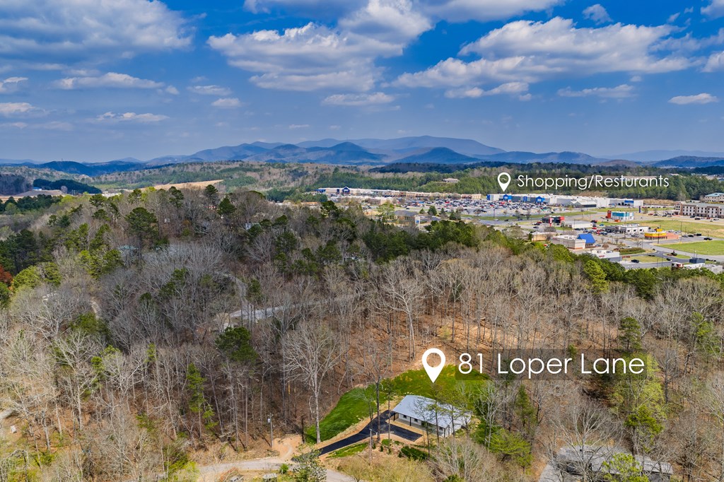 81 Loper Lane
