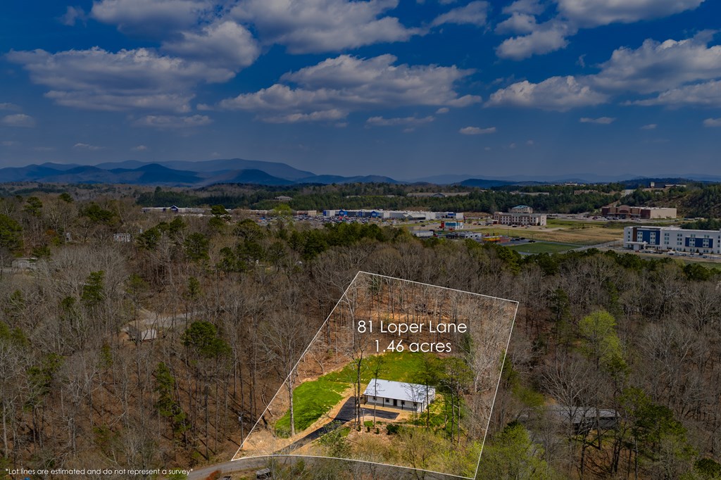 81 Loper Lane