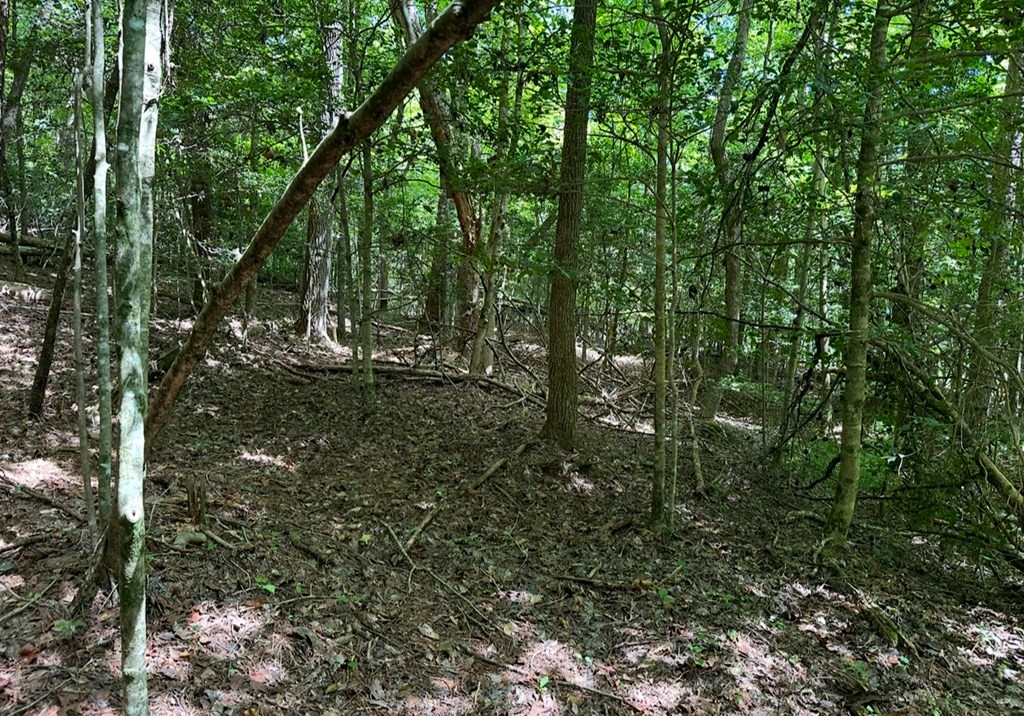 lot 108 Red Oak Trail