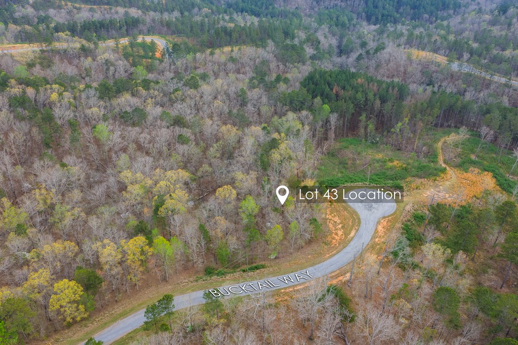 Lot 43 Bucktail Way