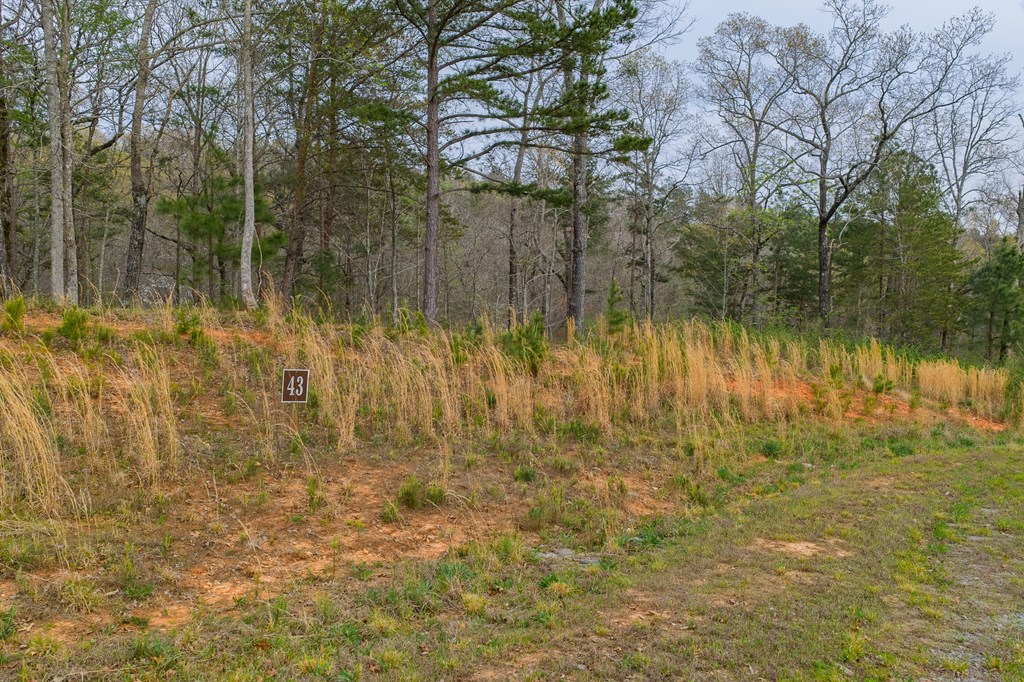 Lot 43 Bucktail Way