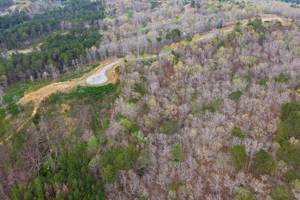 Lot 43 Bucktail Way
