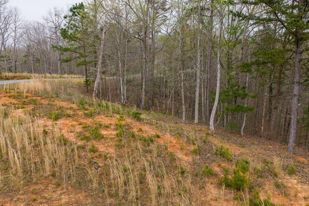 Lot 43 Bucktail Way