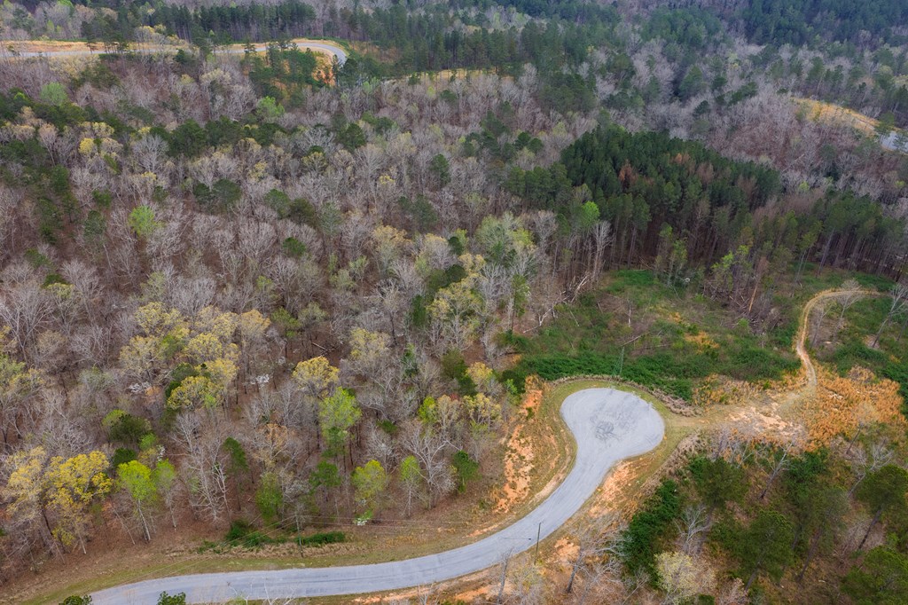 Lot 43 Bucktail Way