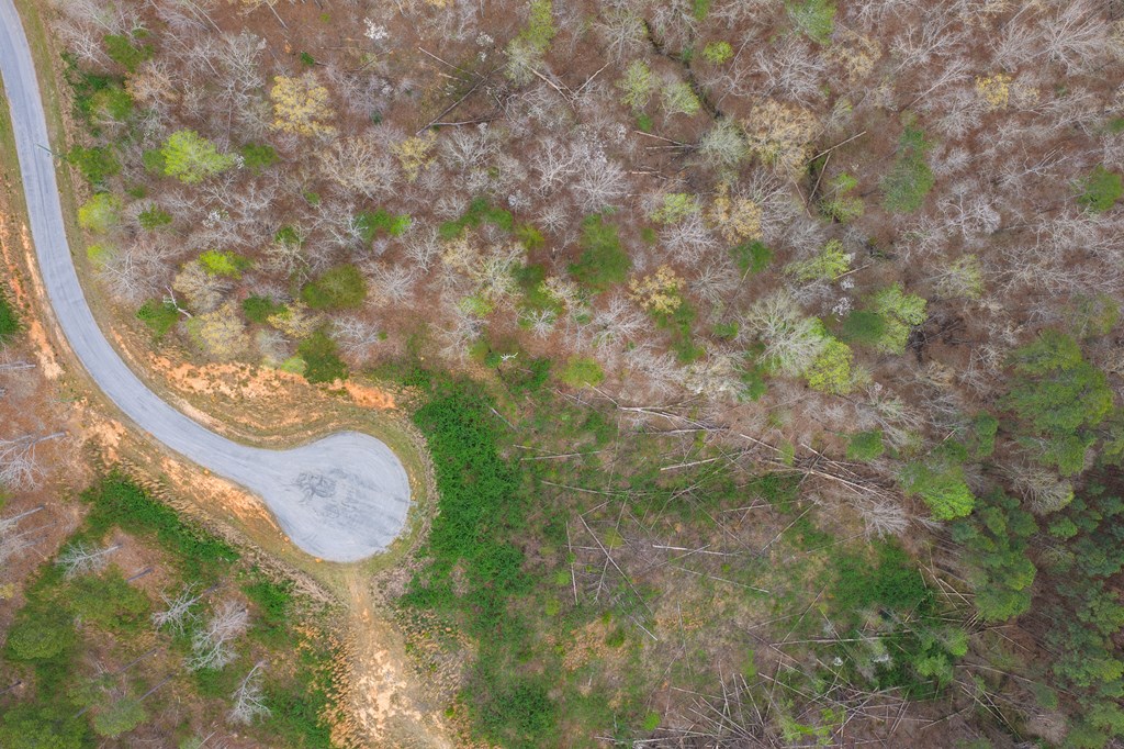 Lot 43 Bucktail Way