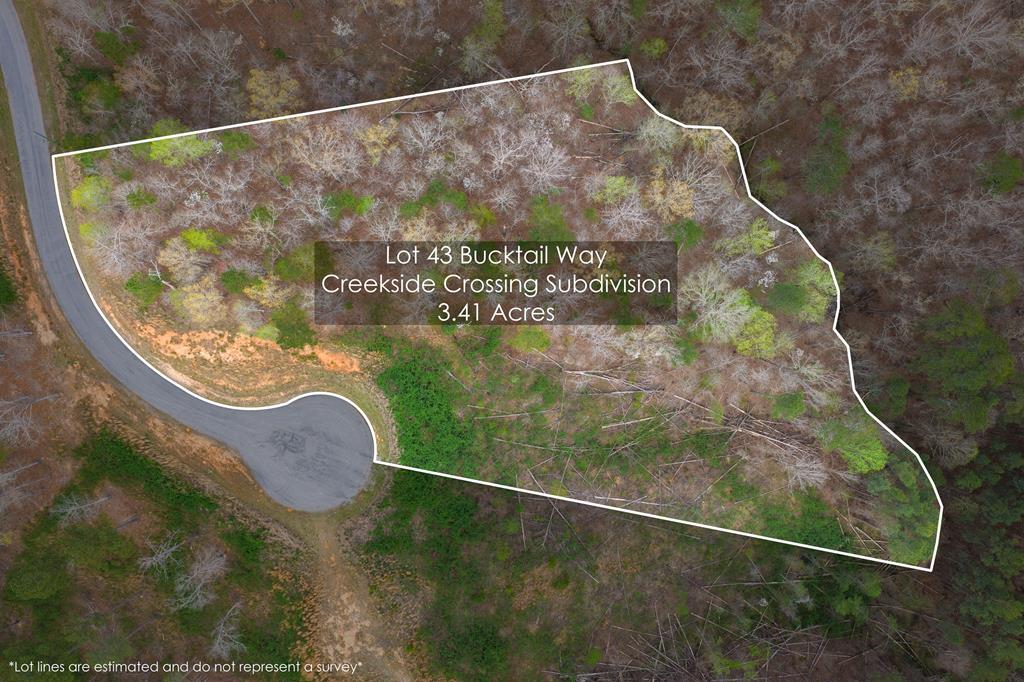 Lot 43 Bucktail Way