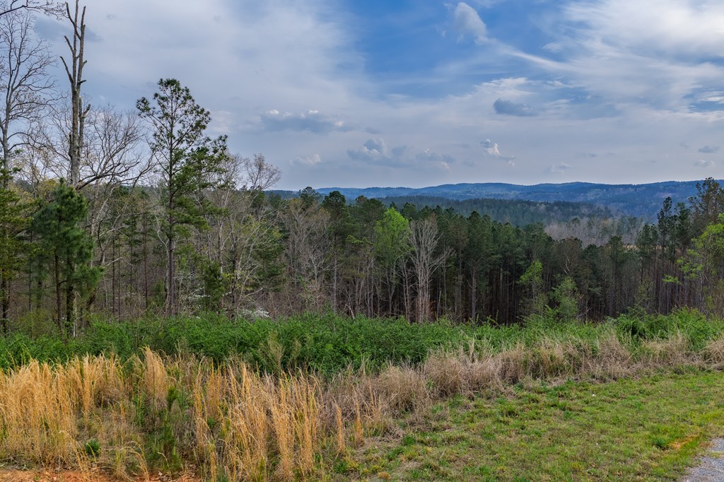 Lot 43 Bucktail Way