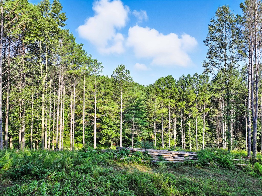 Lot 32 Foxpaw Leaf Lane