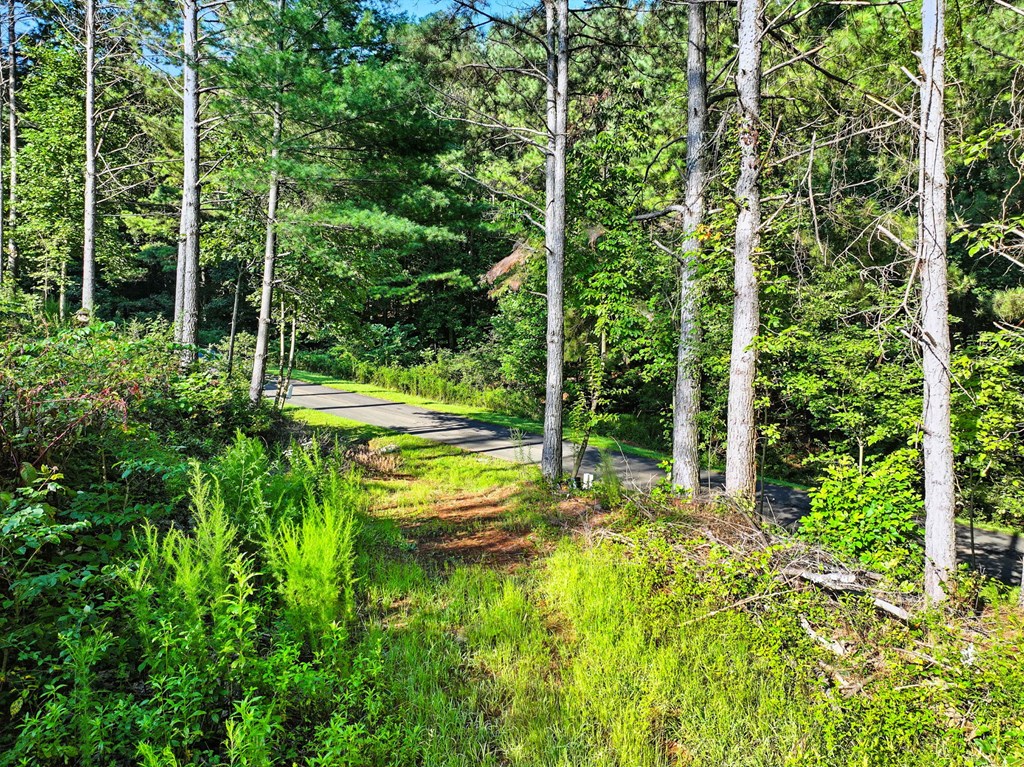 Lot 32 Foxpaw Leaf Lane