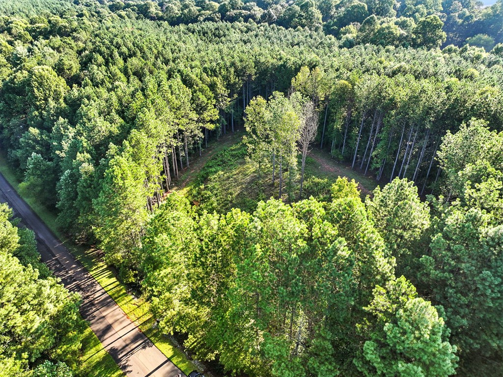 Lot 32 Foxpaw Leaf Lane