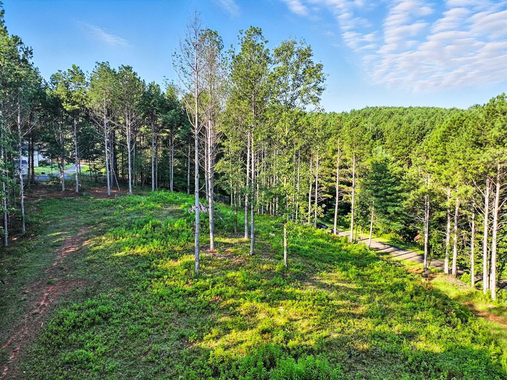 Lot 32 Foxpaw Leaf Lane