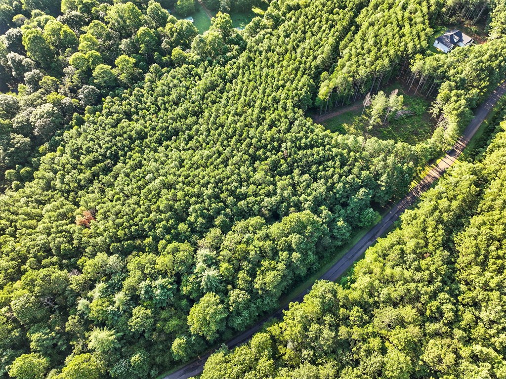 Lot 32 Foxpaw Leaf Lane