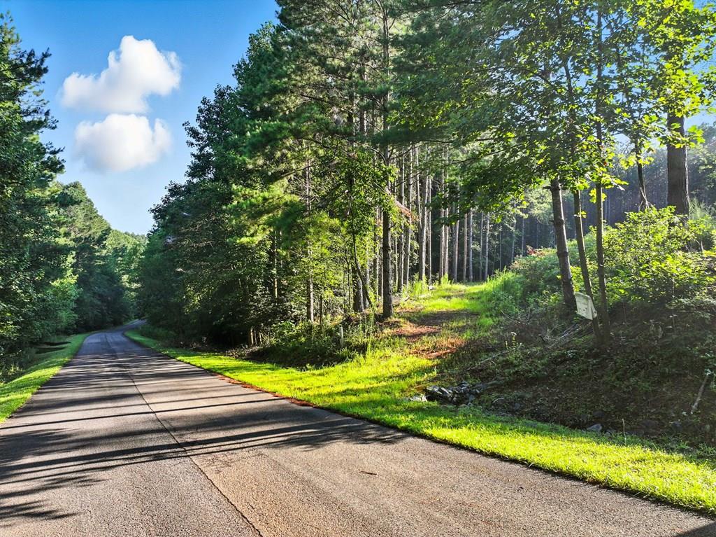 Lot 32 Foxpaw Leaf Lane