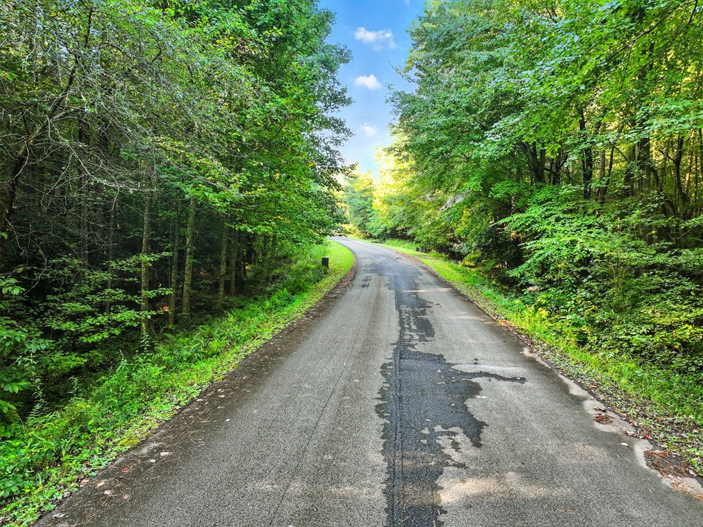 Lot 32 Foxpaw Leaf Lane