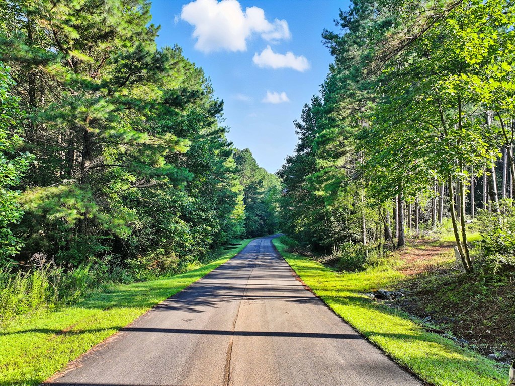 Lot 32 Foxpaw Leaf Lane