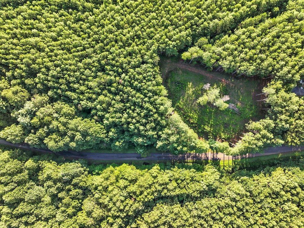 Lot 32 Foxpaw Leaf Lane