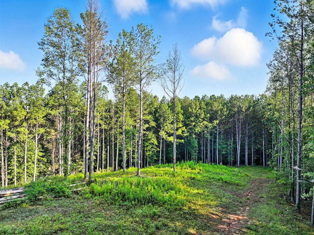 Lot 32 Foxpaw Leaf Lane