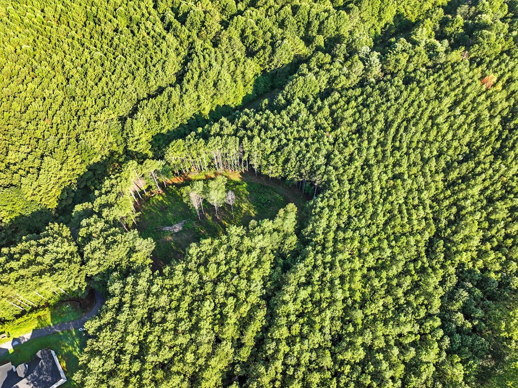 Lot 31 Foxpaw Leaf Lane