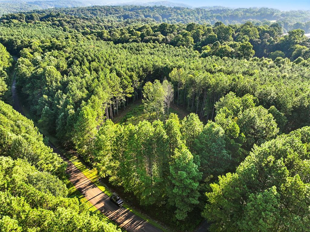 Lot 31 Foxpaw Leaf Lane