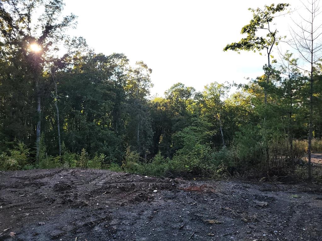 TRACT 2 Old Northcutt Road