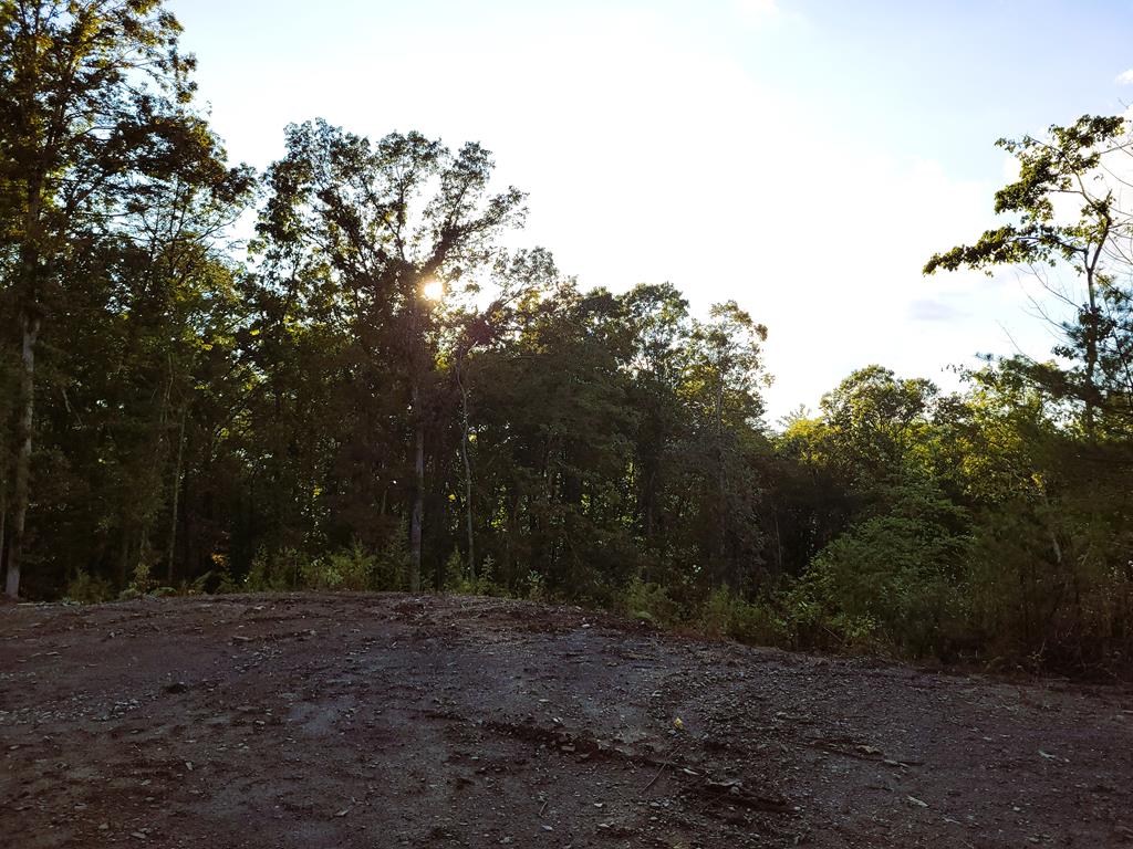 TRACT 4 Old Northcutt Road