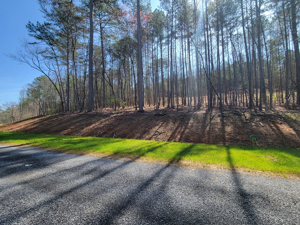 277 Mountaingate Way