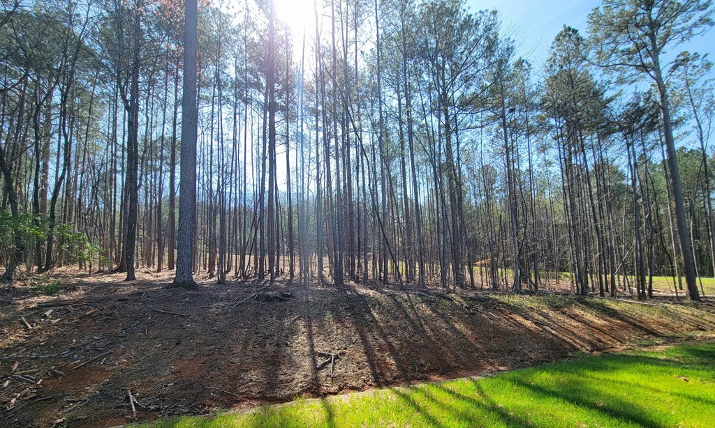 277 Mountaingate Way