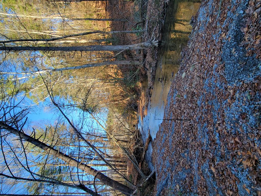 277 Mountaingate Way