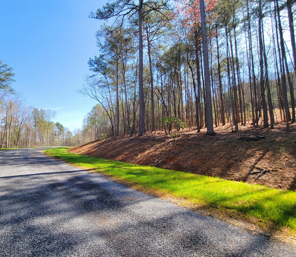 277 Mountaingate Way