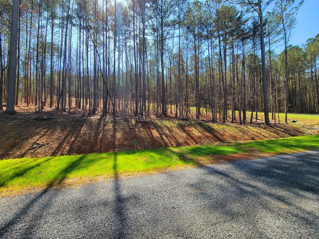 277 Mountaingate Way