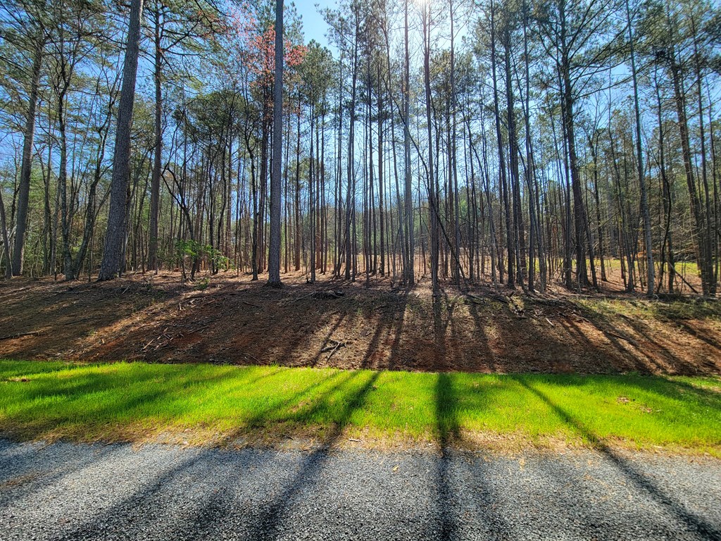 277 Mountaingate Way