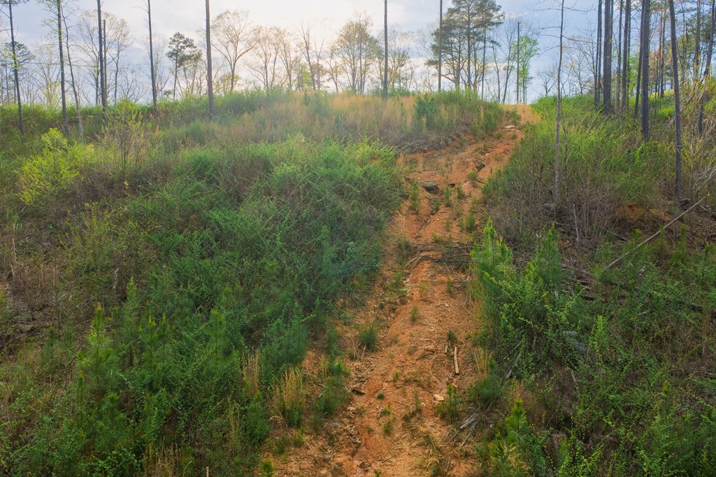 Lot 226 West Vista Ridge Parkway