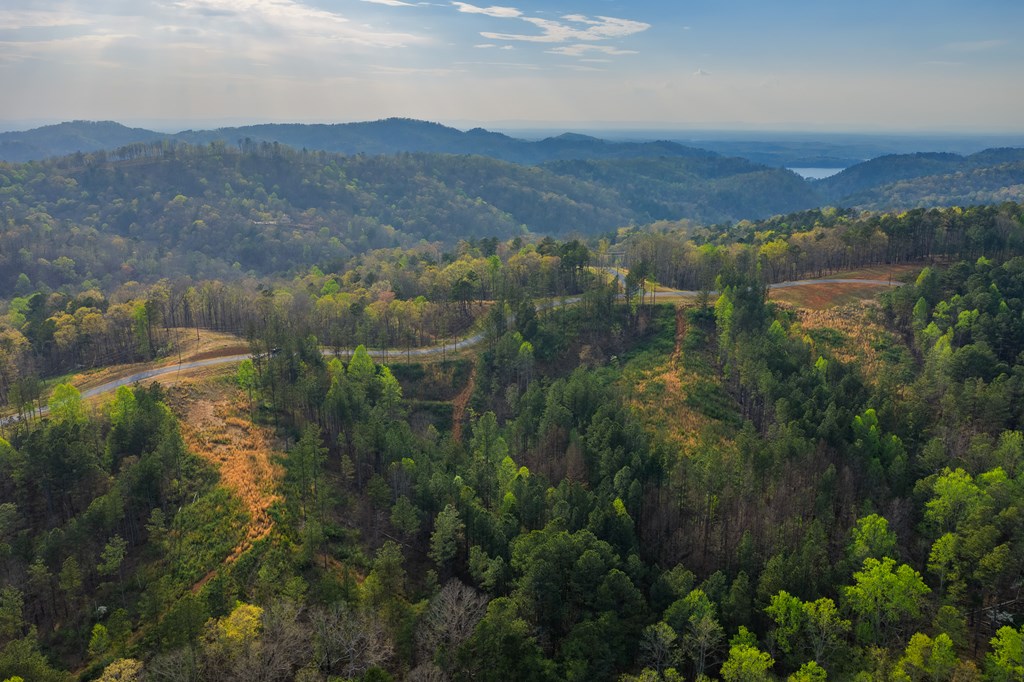 Lot 226 West Vista Ridge Parkway