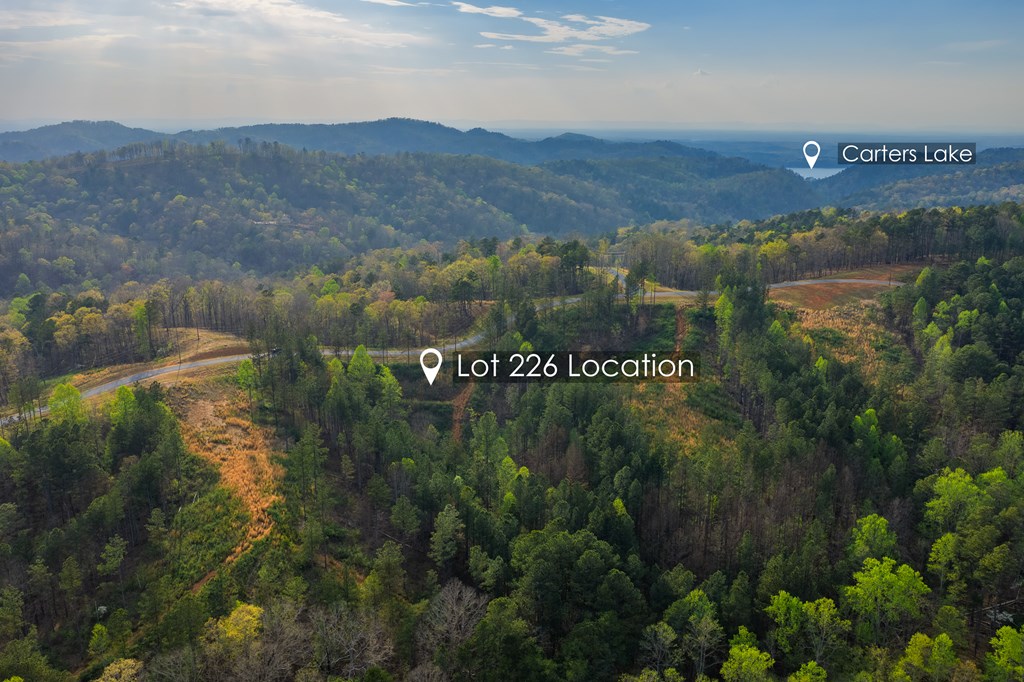 Lot 226 West Vista Ridge Parkway