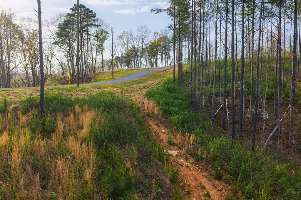 Lot 226 West Vista Ridge Parkway