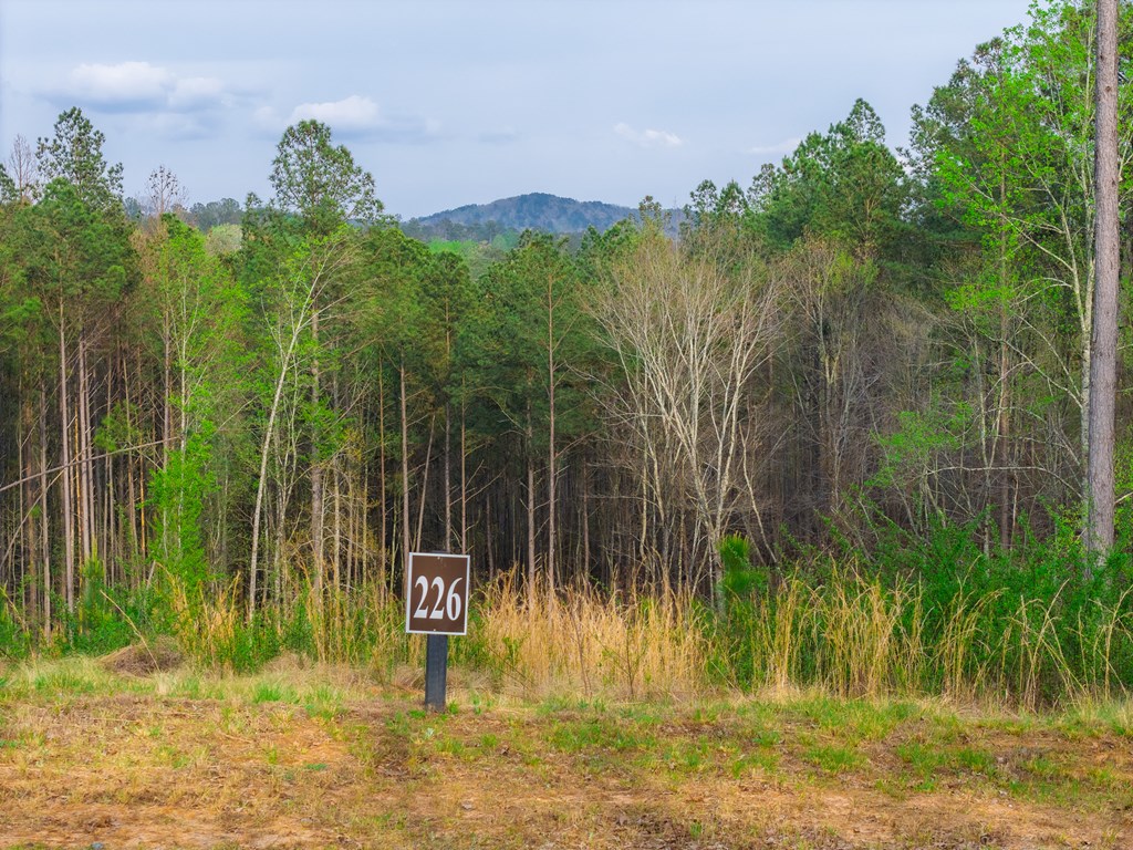 Lot 226 West Vista Ridge Parkway