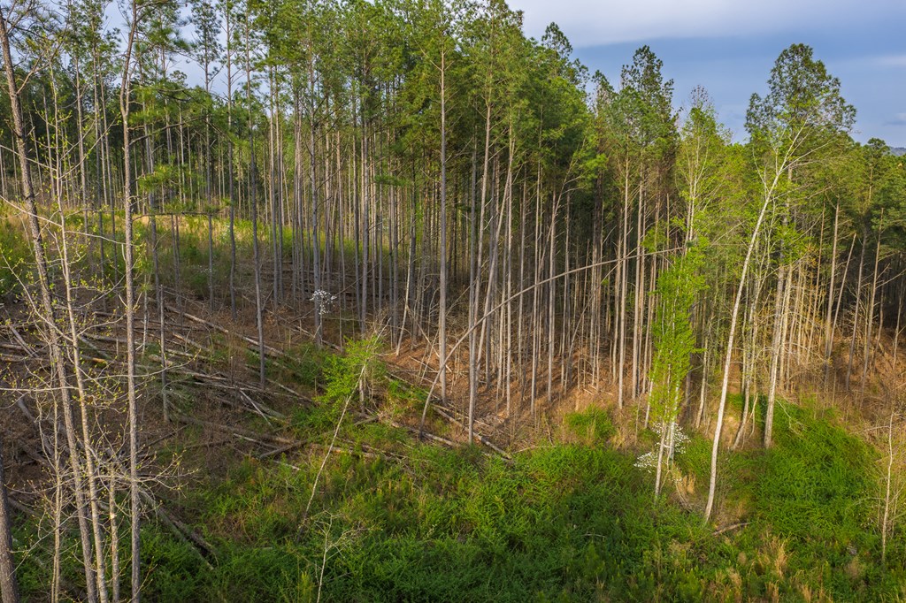 Lot 226 West Vista Ridge Parkway