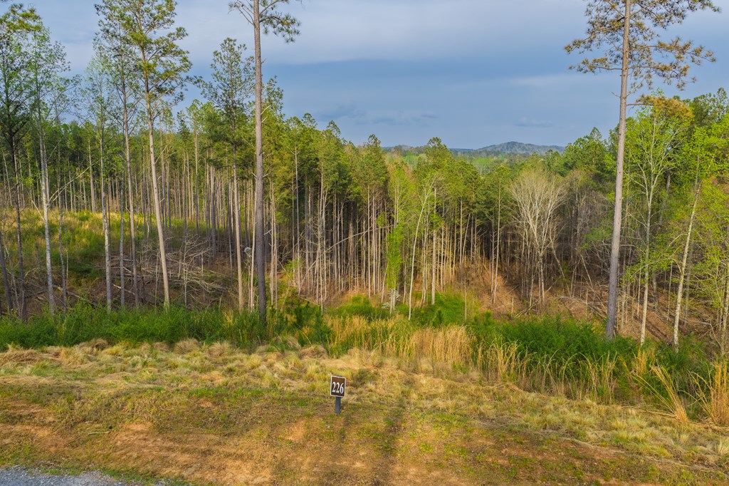 Lot 226 West Vista Ridge Parkway