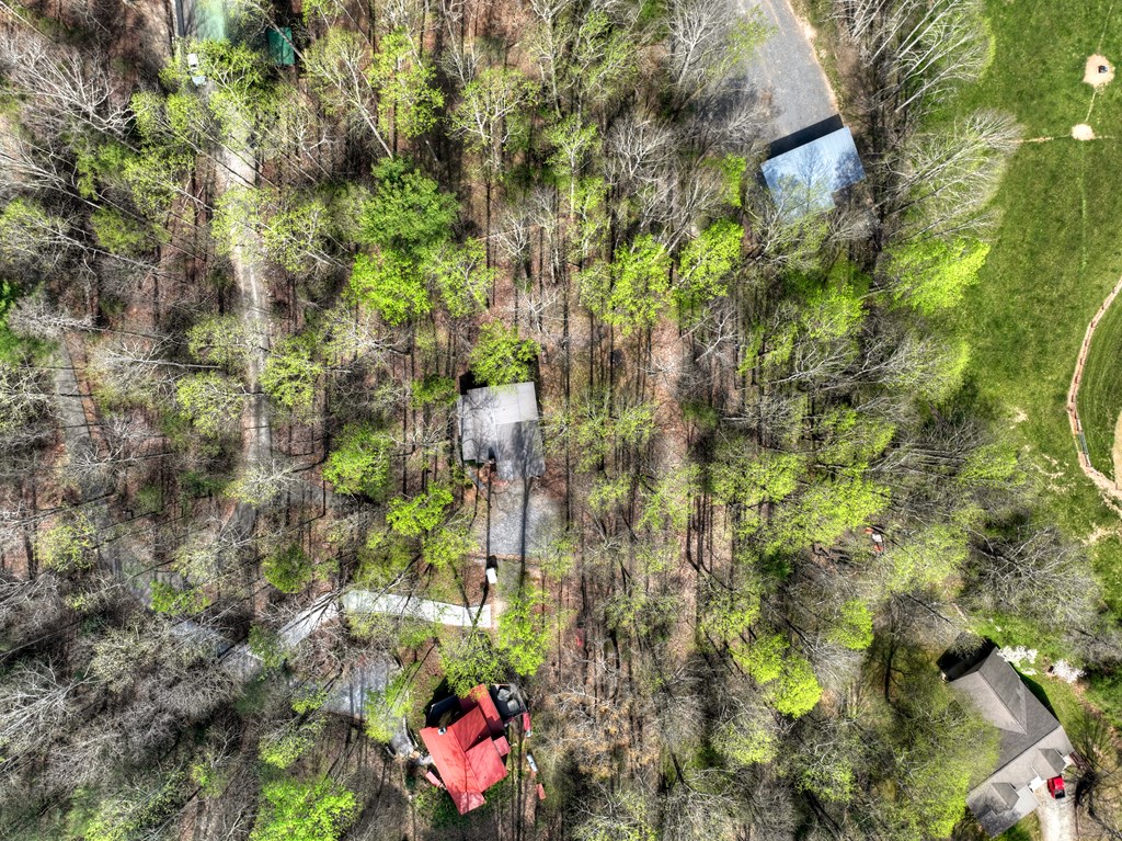 186 Stegall Mill Trail