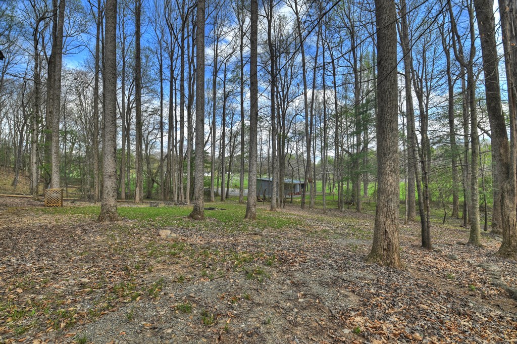 186 Stegall Mill Trail