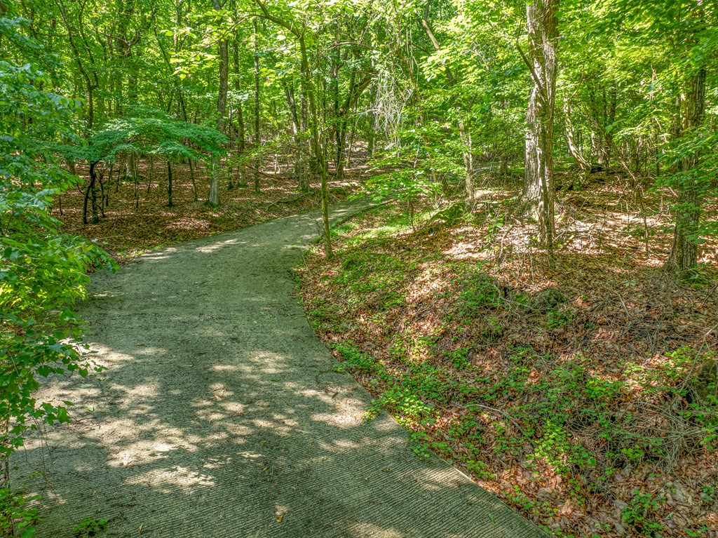 3.65 AC Emory Stephens Rd.