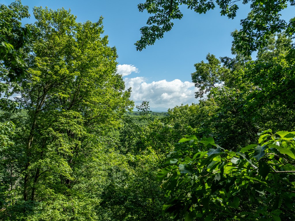 3.65 AC Emory Stephens Rd.
